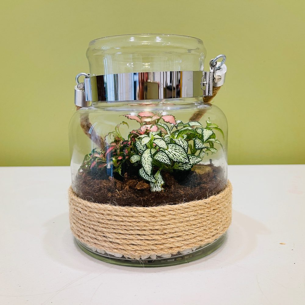 Medium Open or Closed Terrarium with Rope Decorated Container