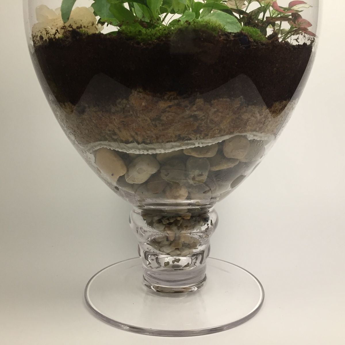 Closed terrarium