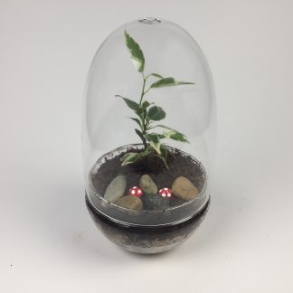 'Eggdom' living terrarium(9 x 17 cm / Eggdom-003)