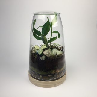 "BlueJay" Tapered cylindrical living terrarium with wooden base and natural gemstone.
