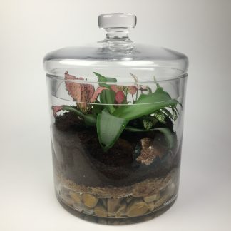 T44 Terrarium 21cm (h) x 15cm (w)