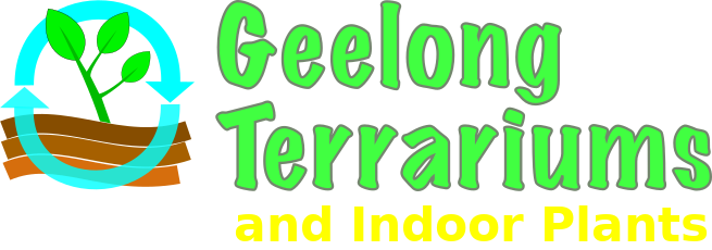 Geelong Terrariums (and Indoor Plants)